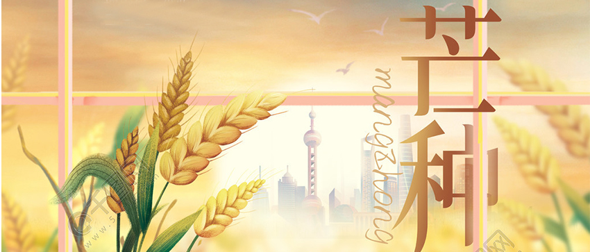 ?芒種 | 梅黃仲夏奮斗時，不慌不“芒”，勤思勤“種”